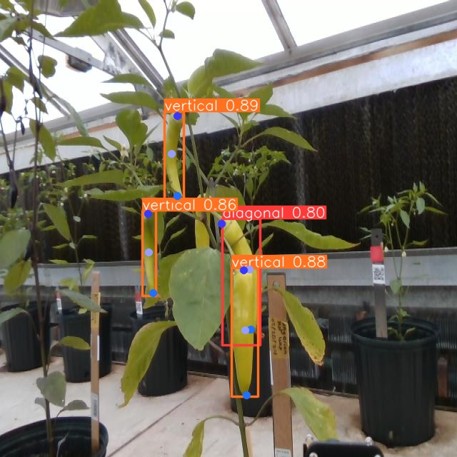 AI plant measurement and phenotyping system