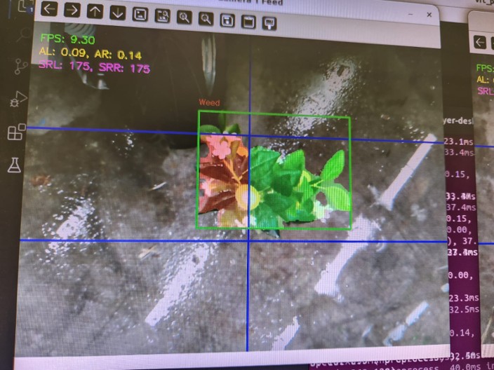 AI-powered weed detection system with real-time classification