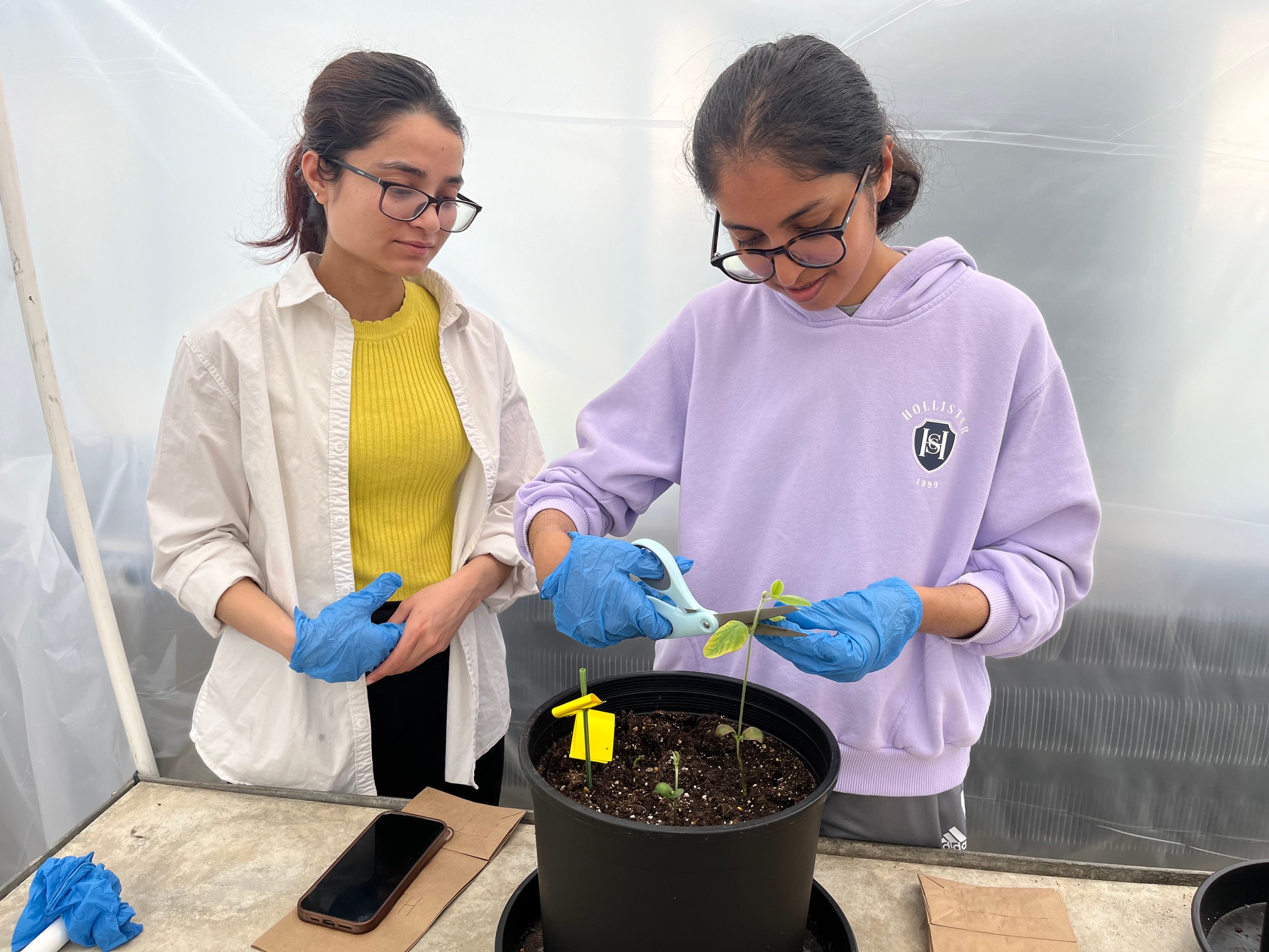 MVOS Lab Research