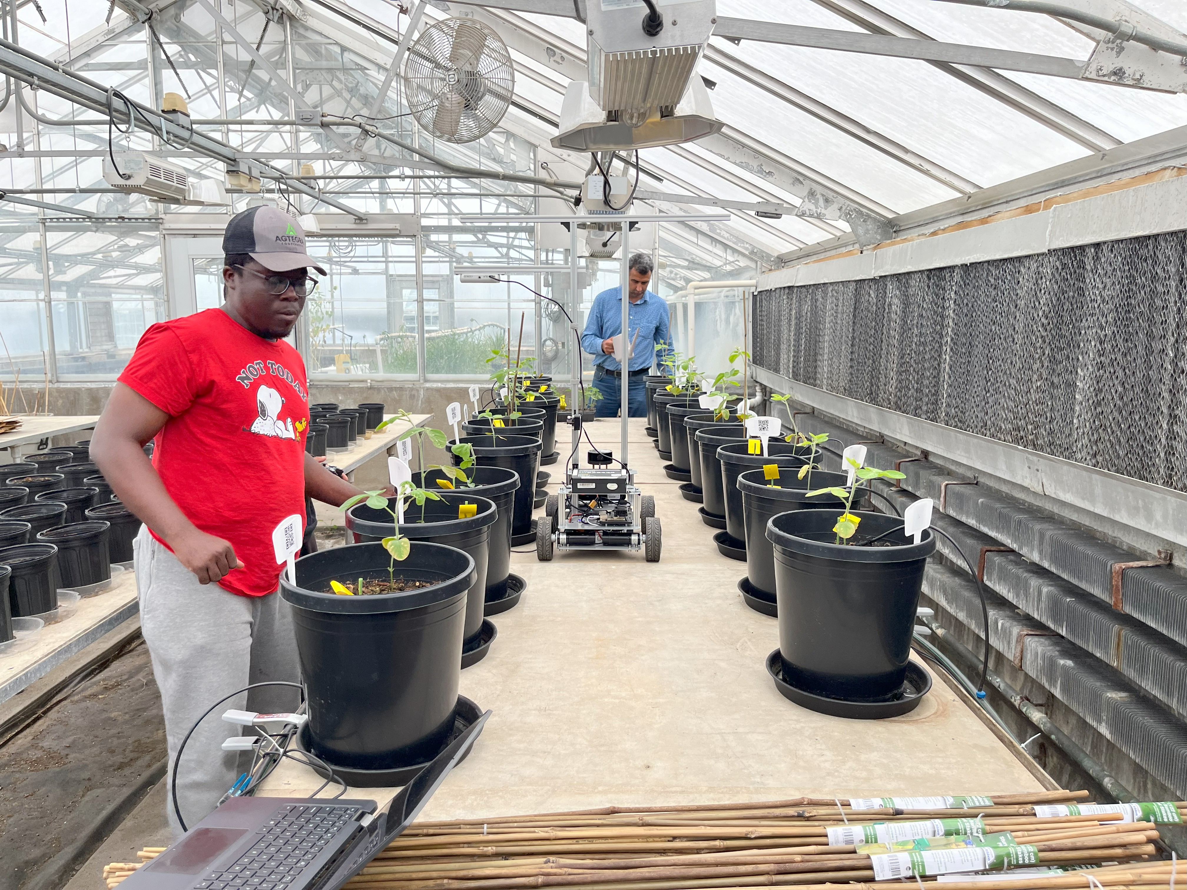 High throughput phenotyping system in greenhouse environment