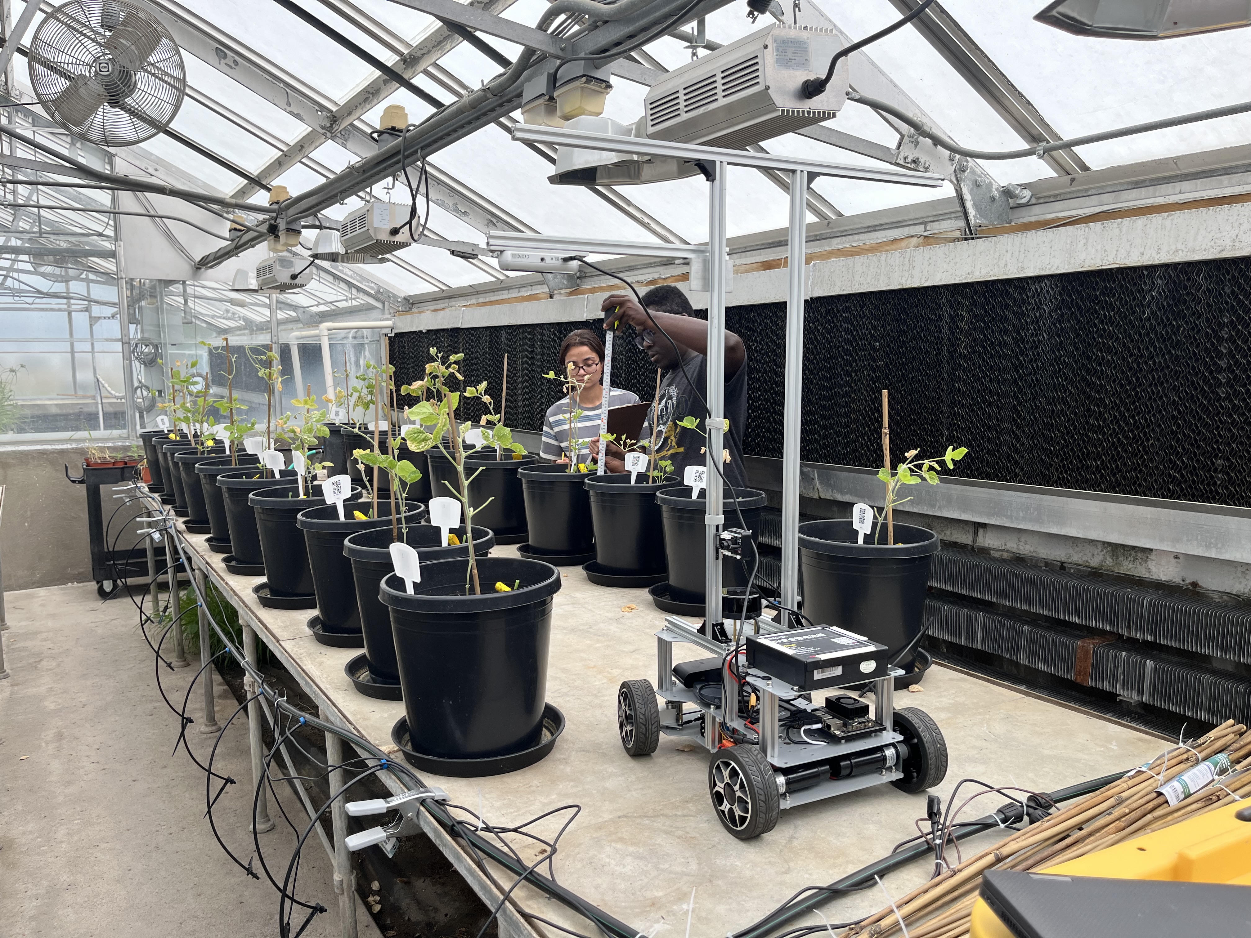 Robotic system in greenhouse environment